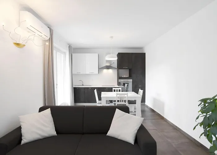 Dama 2 * ברדולינו