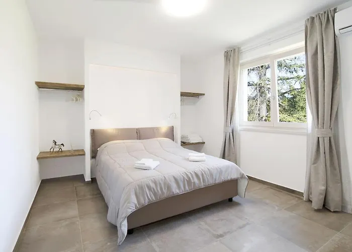 Dama 2 ברדולינו